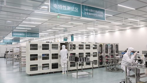 張家口的風(fēng)，點(diǎn)亮北京的燈——海歸青年在綠色能源浪潮中顯身手